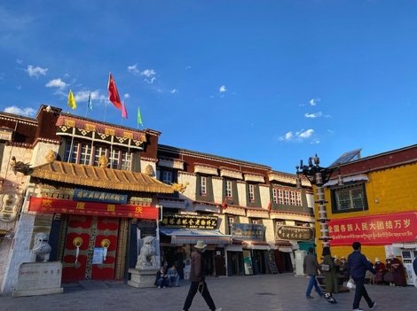 RFA評論 | 唯色：當我們談論天花時我們在談論什麼（二十）