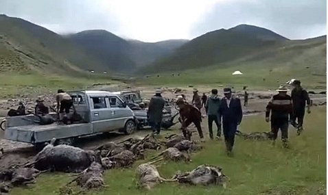 西藏縱覽：天災人禍藏區面臨多事之秋