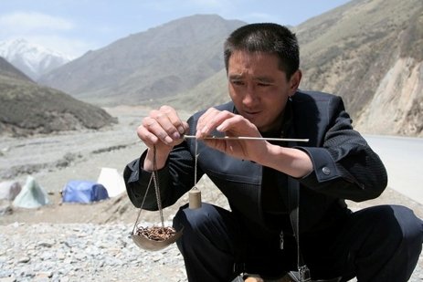 RFA專欄 | 西藏縱覽：冬蟲夏草減產給西藏牧民帶來壓力；藏族學生僅能使用漢語參加高考