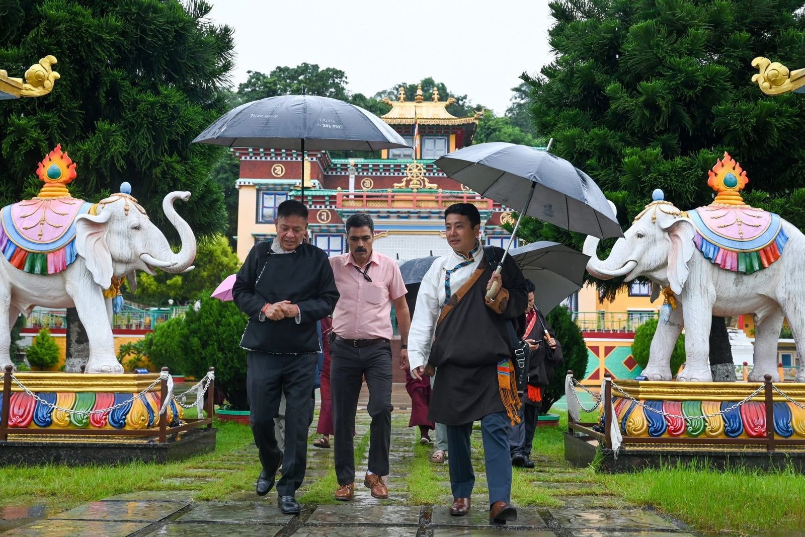 536416788_1178521264297234_3908931690079862811_n