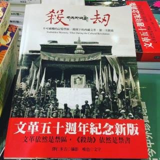 《殺劫》之後的記錄呈現後西藏文革（四）